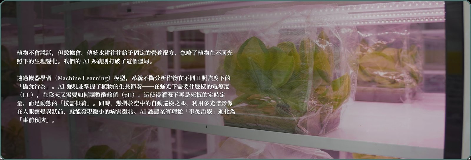 聽懂植物的語言：機器學習驅動的動態生長